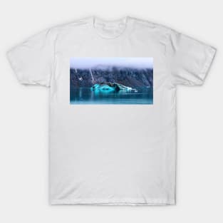 Blue iceberg T-Shirt